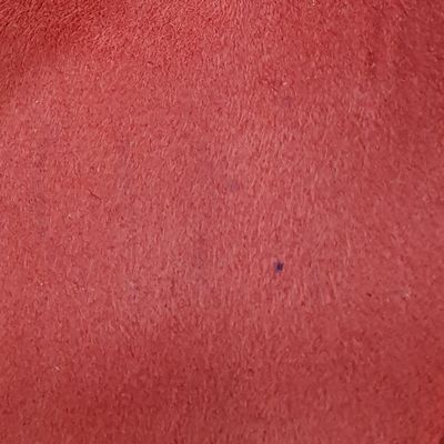 Corallo