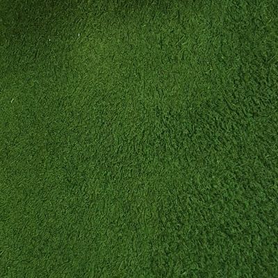 Verde 1