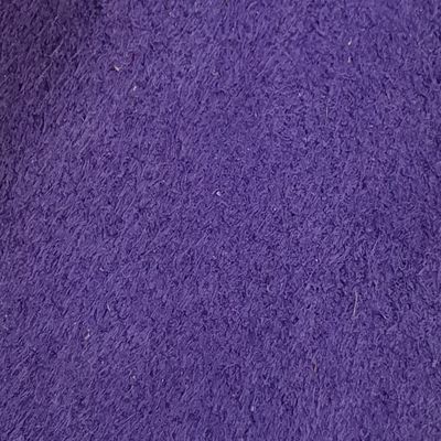 Viola2